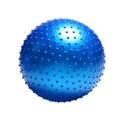 Massage Gymball Ball